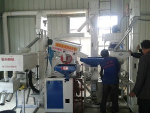 批發供應廠家直銷組合碾米機成套設備 價格、圖片與技術服務詳解