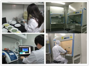 健康家電檢測(cè)中心 測(cè)試計(jì)量技術(shù)研究所 環(huán)境與健康相關(guān)產(chǎn)品檢測(cè)所簡介與技術(shù)服務(wù)體系