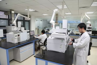 科技引領，服務賦能 以創新技術打響“上海制造”品牌，驅動集團高質量發展